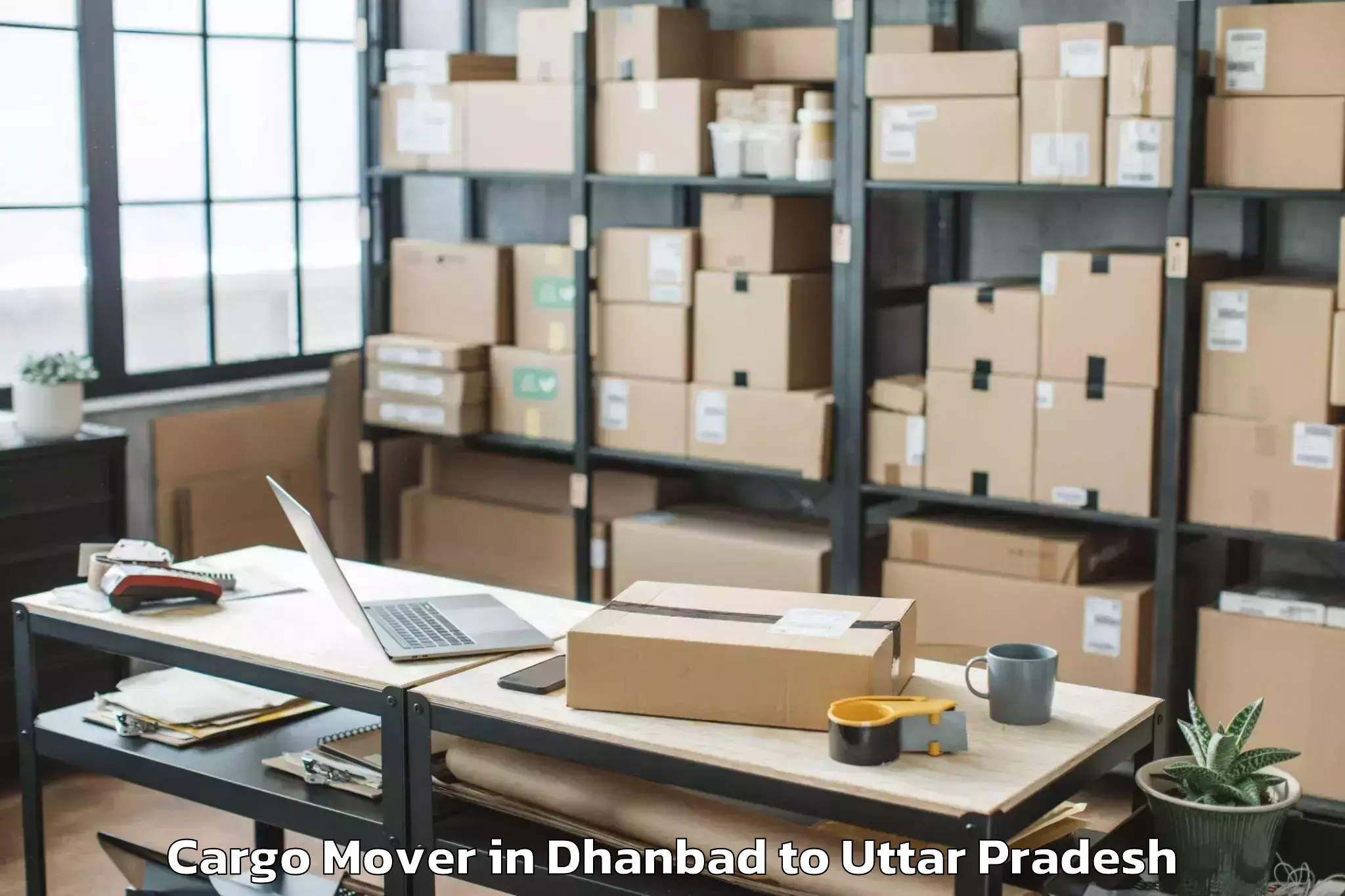 Book Dhanbad to Talbehat Cargo Mover